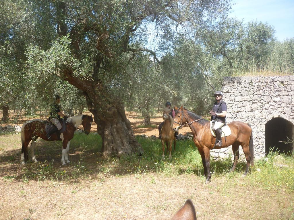 Masseria Li Campi Кавалино ди Лече Екстериор снимка