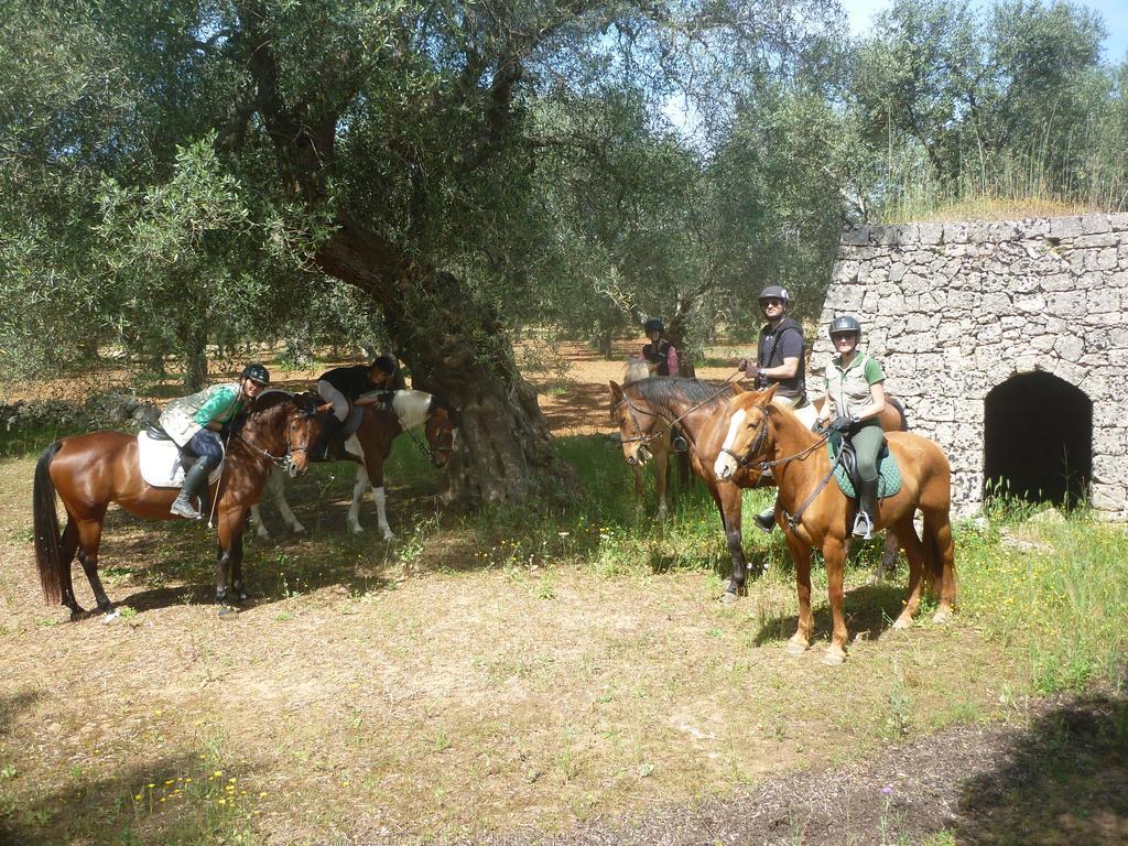 Masseria Li Campi Кавалино ди Лече Екстериор снимка
